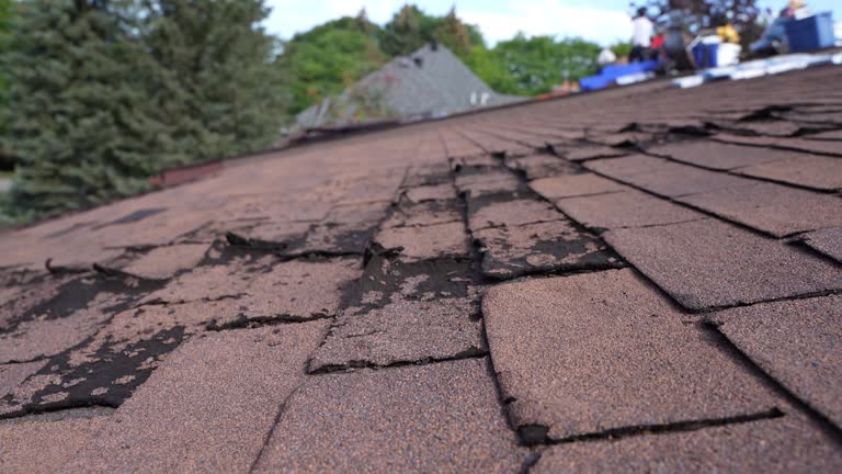 Best Roof Insulation Installation  in Thompson Falls, MT