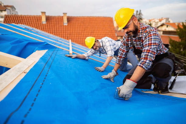 Best Metal Roofing Installation  in Thompson Falls, MT
