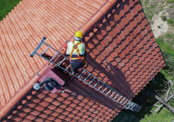 Best Roof Moss and Algae Removal  in Thompson Falls, MT